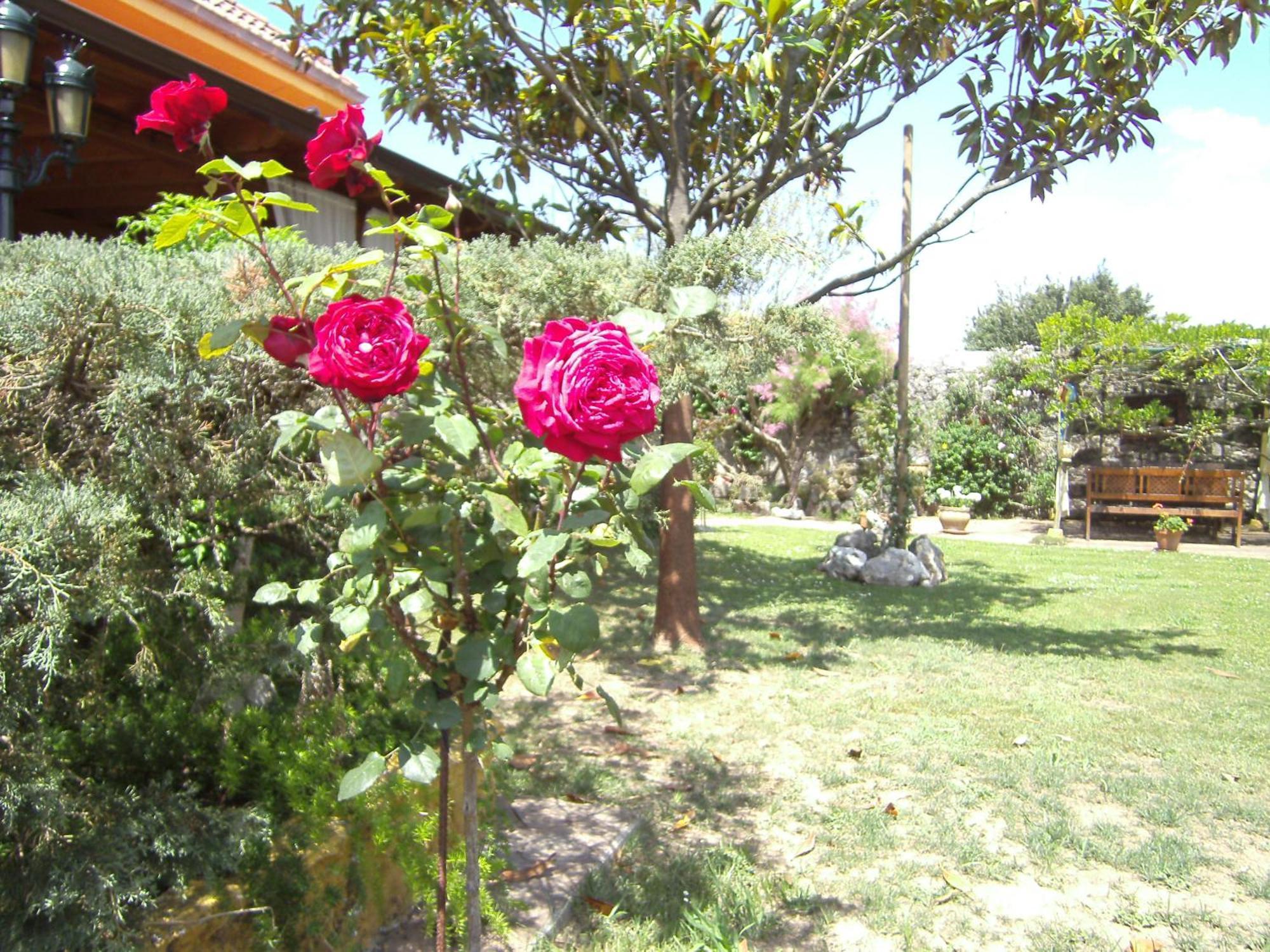 Hosteria Las Fuentes Rubayo Exterior photo